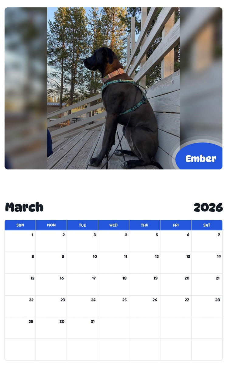November 2025 - October 2026 Ember - Pawidols Pet Calendar