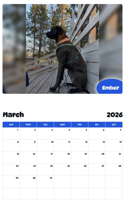 November 2025 - October 2026 Ember - Pawidols Pet Calendar