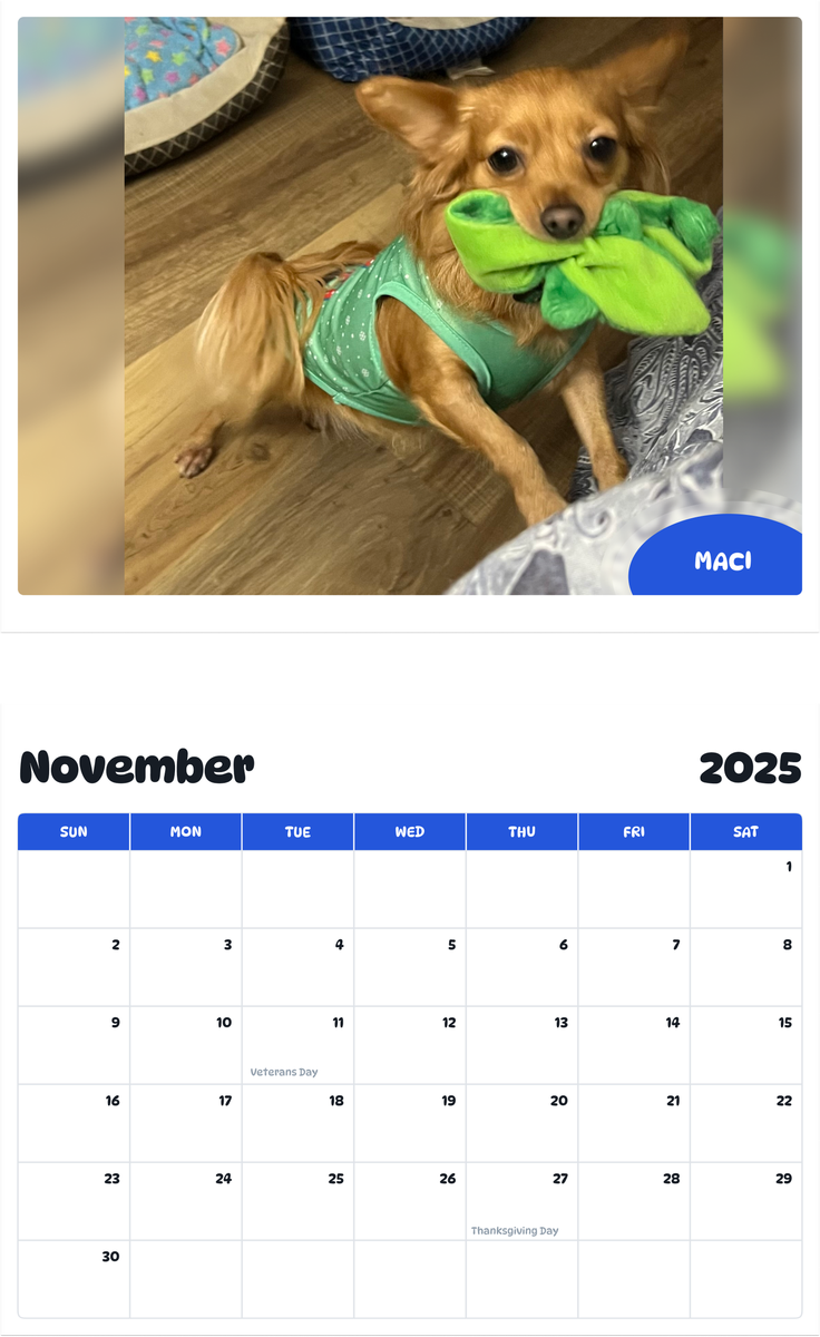 July 2025 - June 2026 Maci - Pawidols Pet Calendar