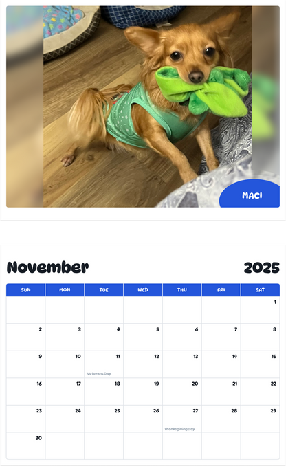 July 2025 - June 2026 Maci - Pawidols Pet Calendar