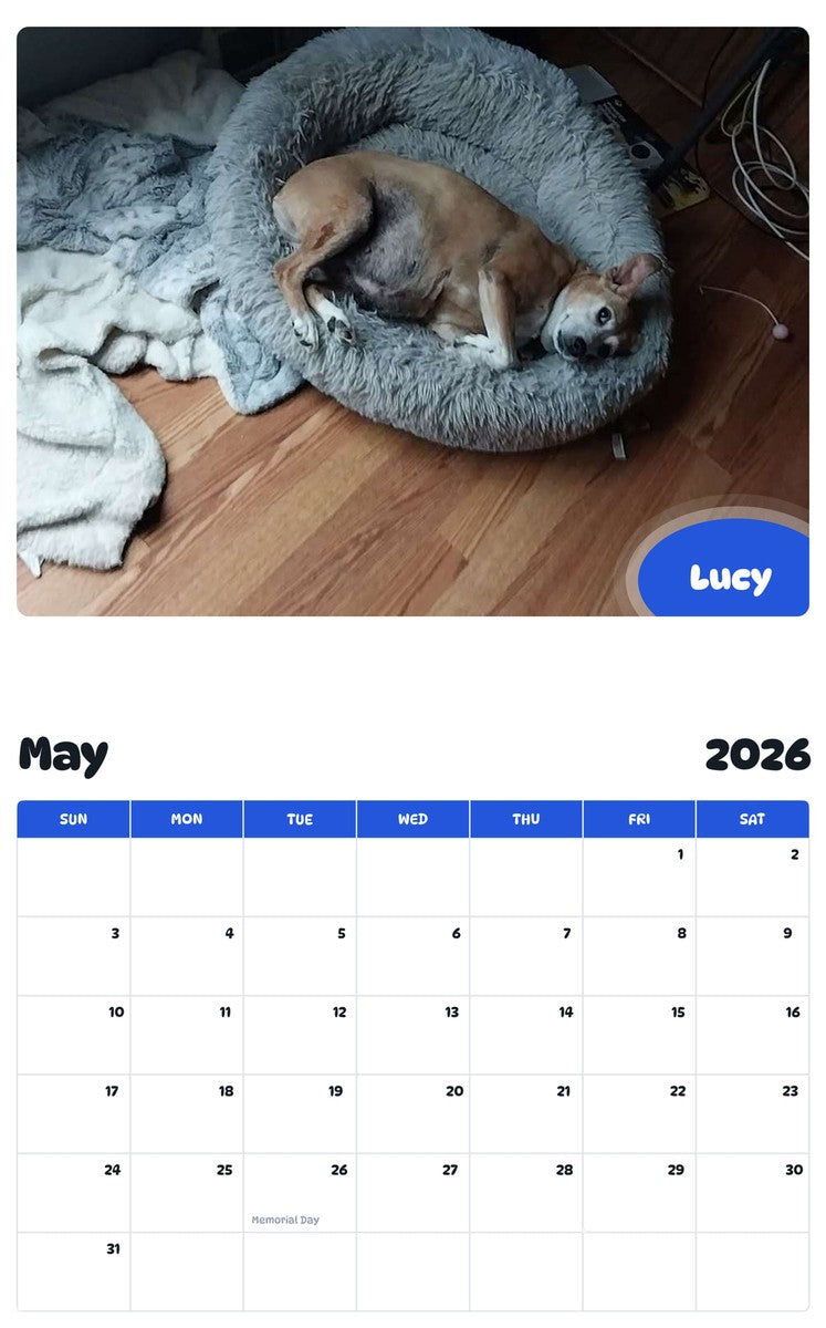 2026 - 2027 Lucy - Pawidols Pet Calendar