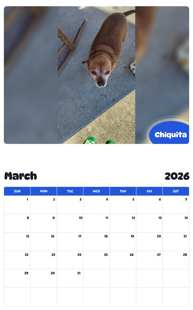 November 2025 - October 2026 Chiquita - Pawidols Pet Calendar