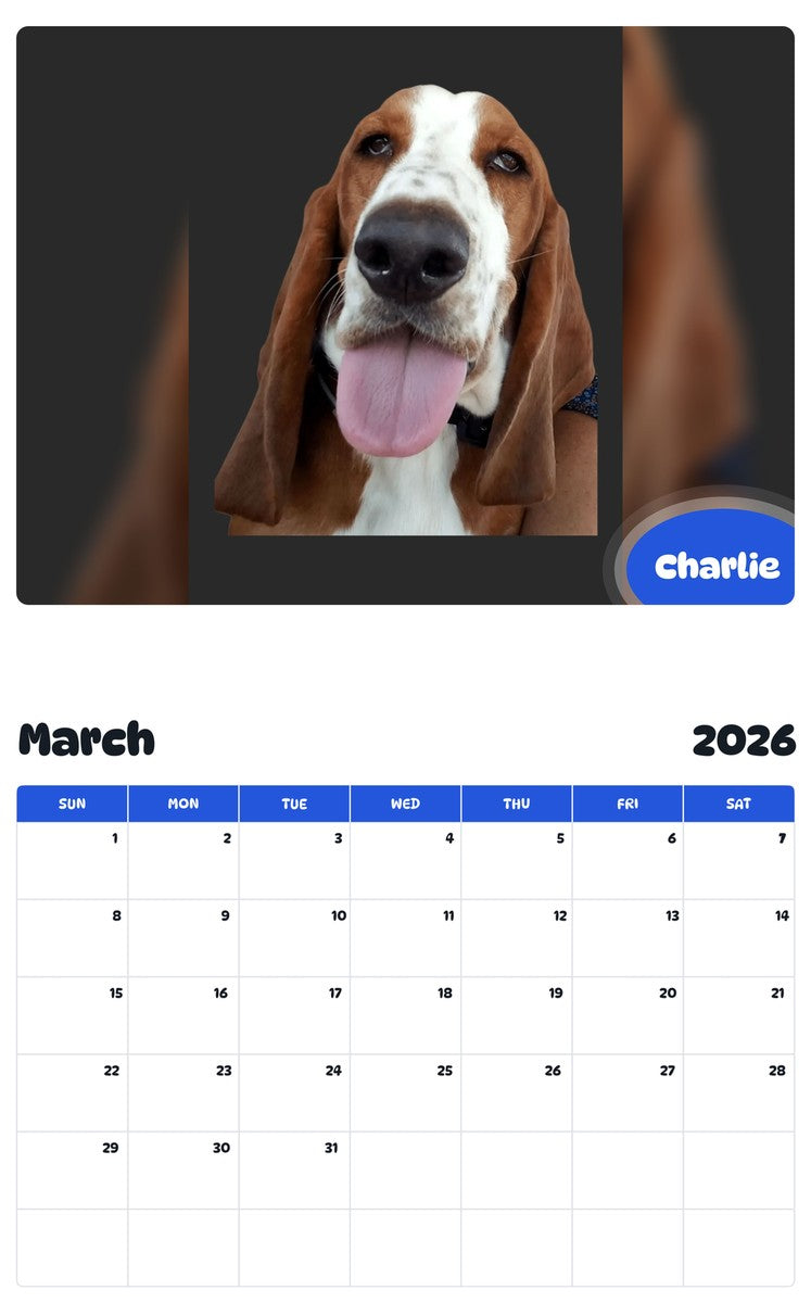 November 2025 - October 2026 Charlie - Pawidols Pet Calendar
