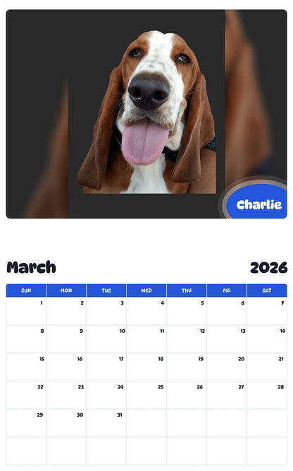 November 2025 - October 2026 Charlie - Pawidols Pet Calendar
