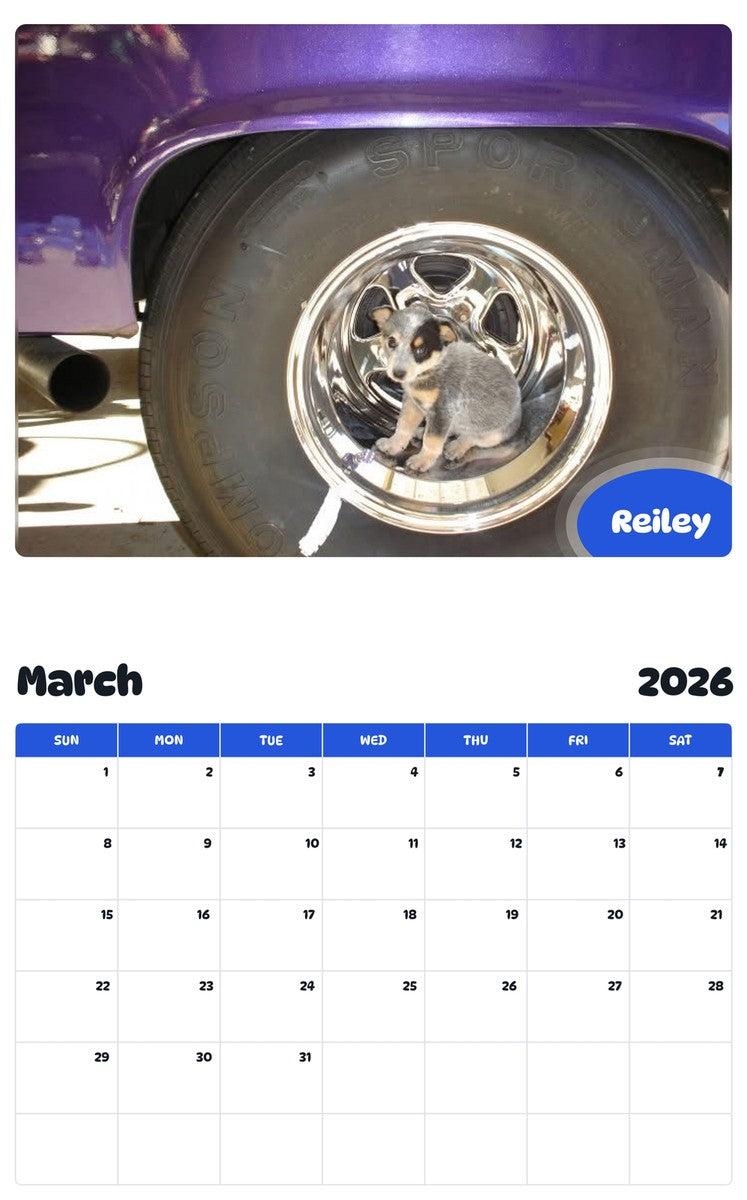 November 2025 - October 2026 Reiley - Pawidols Pet Calendar