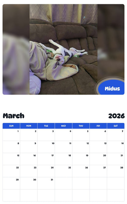 November 2025 - October 2026 Midus - Pawidols Pet Calendar