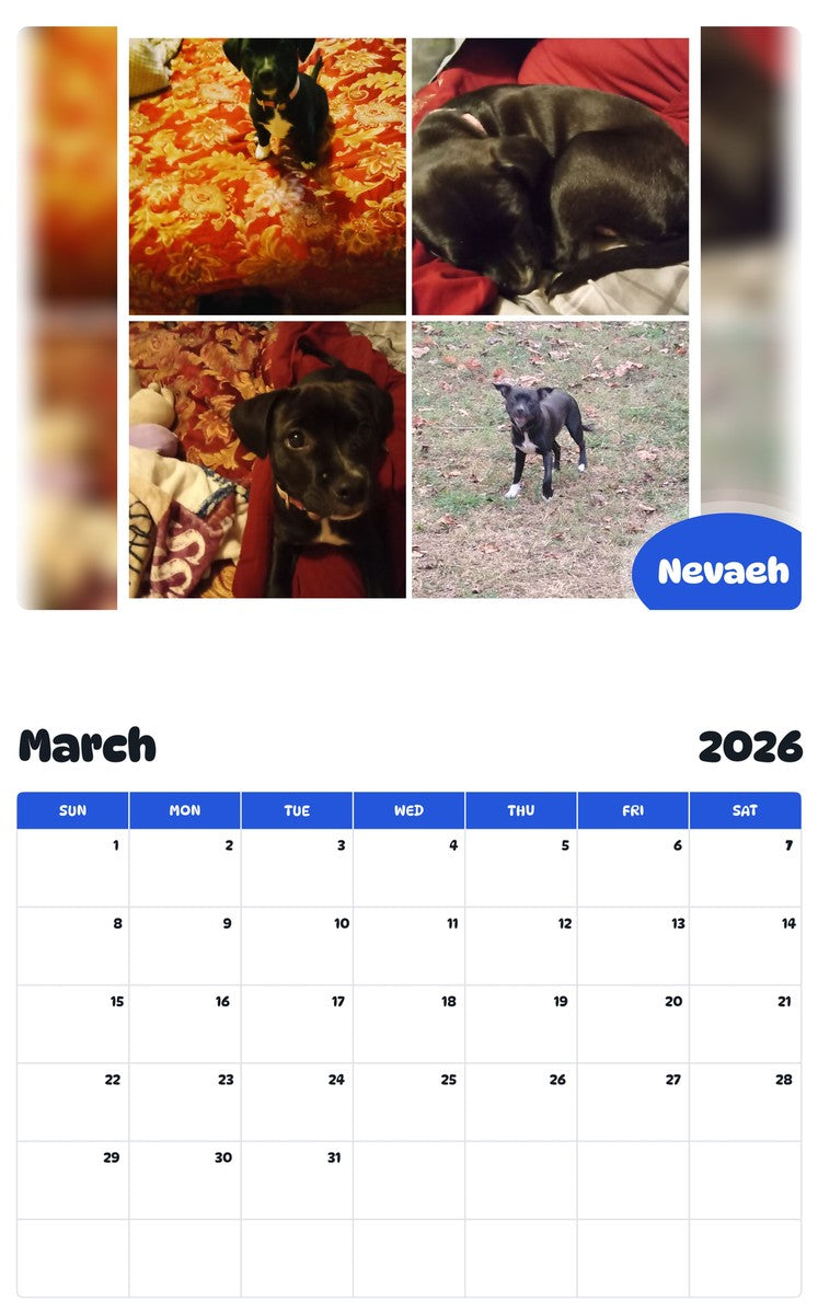 November 2025 - October 2026 Nevaeh - Pawidols Pet Calendar