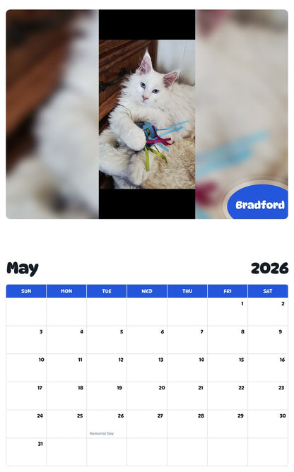 2026 - 2027 Bradford - Pawidols Pet Calendar