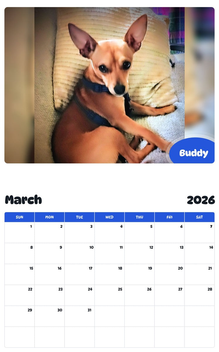 November 2025 - October 2026 Buddy - Pawidols Pet Calendar