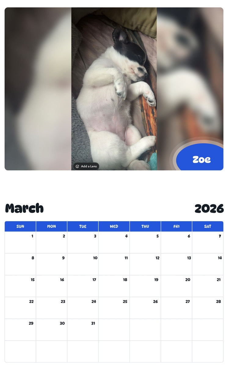 November 2025 - October 2026 Zoe - Pawidols Pet Calendar