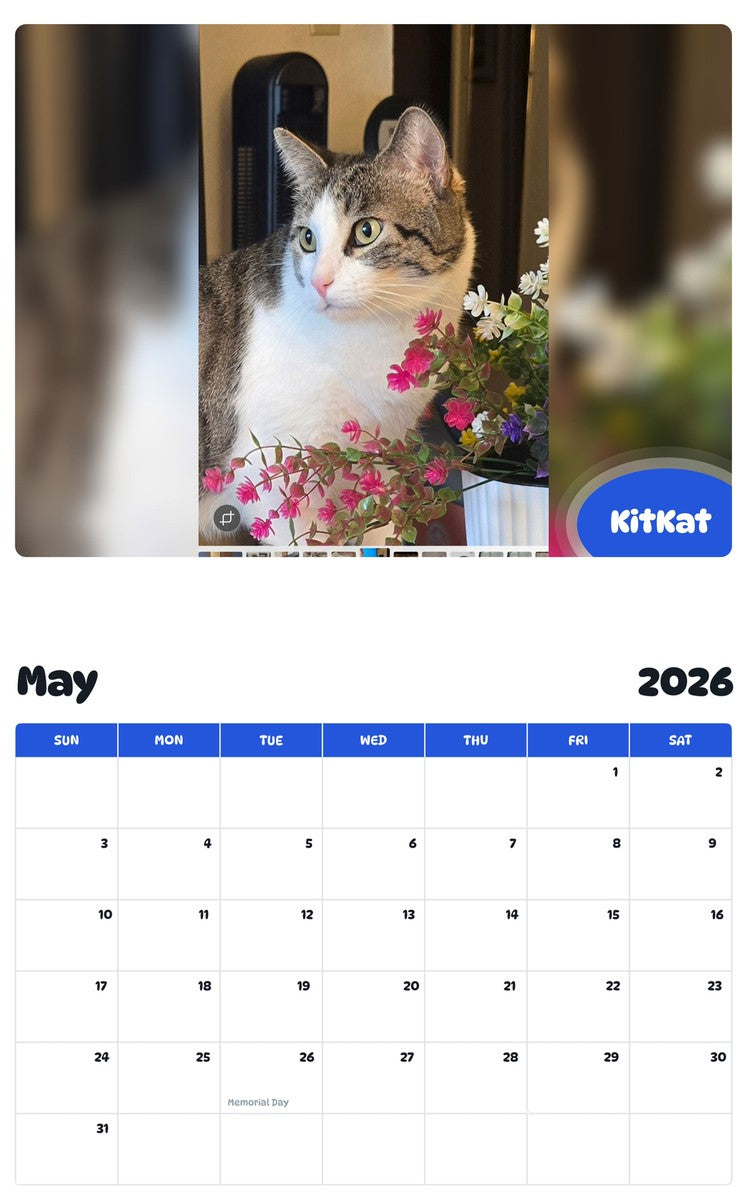 2026 - 2027 KitKat - Pawidols Pet Calendar