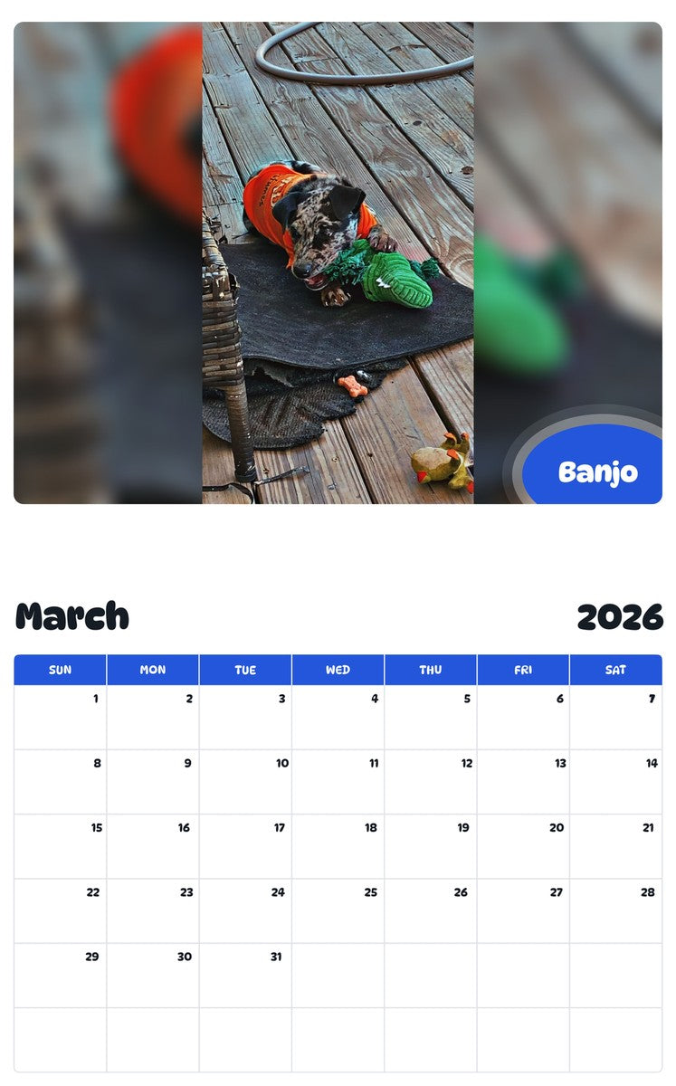 November 2025 - October 2026 Banjo - Pawidols Pet Calendar