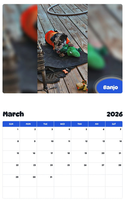 November 2025 - October 2026 Banjo - Pawidols Pet Calendar