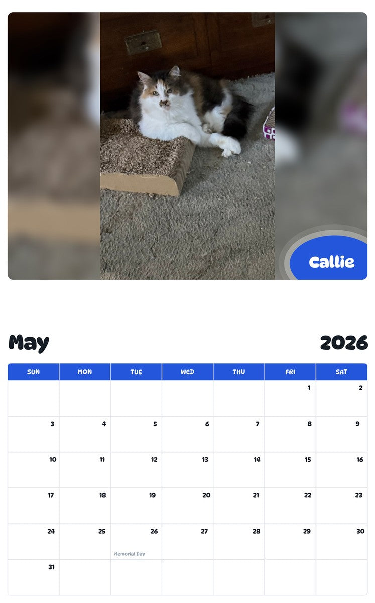 2026 - 2027 Callie - Pawidols Pet Calendar