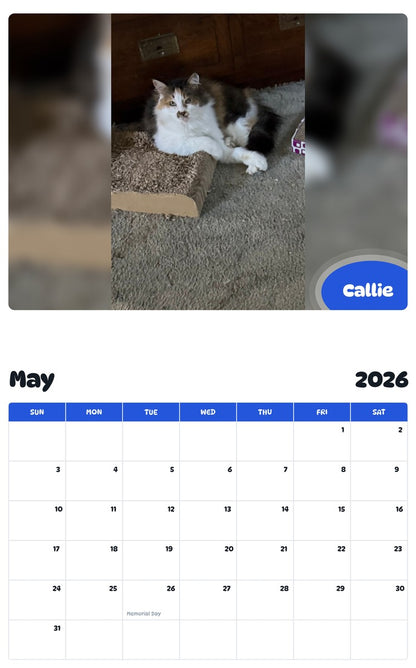 2026 - 2027 Callie - Pawidols Pet Calendar