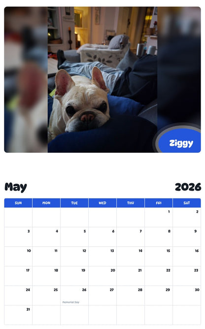 2026 - 2027 Ziggy - Pawidols Pet Calendar