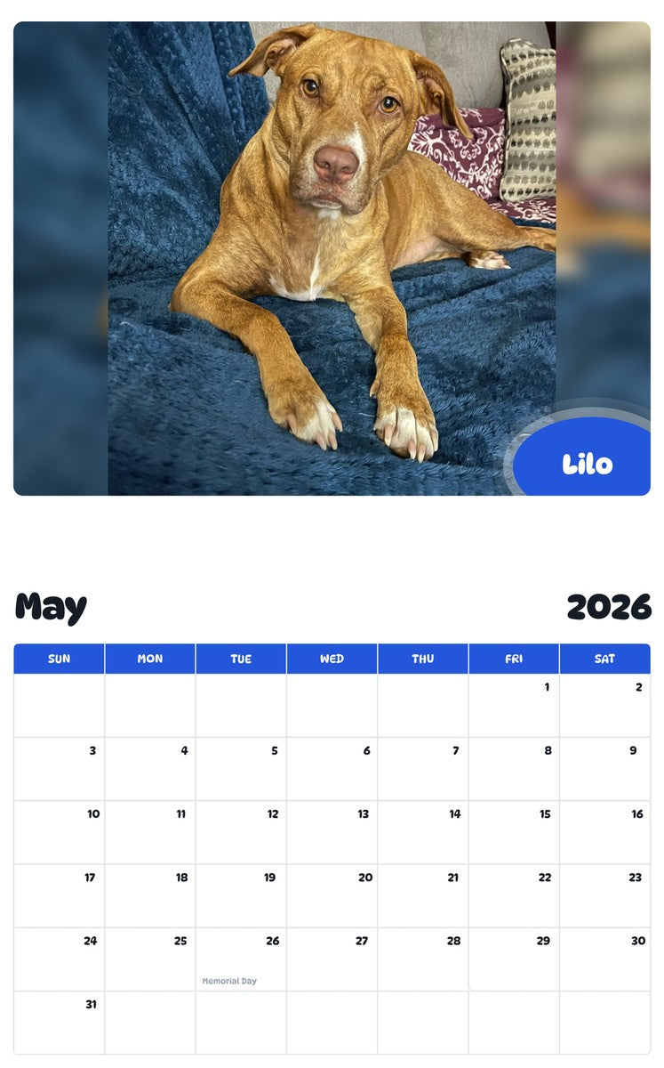 2026 - 2027 Lilo - Pawidols Pet Calendar