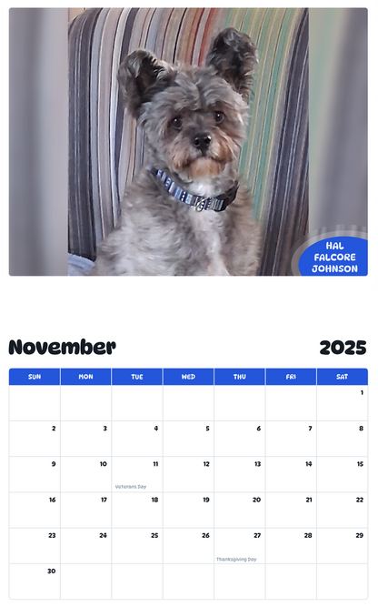 July 2025 - June 2026 Hal Falcore Johnson - Pawidols Pet Calendar