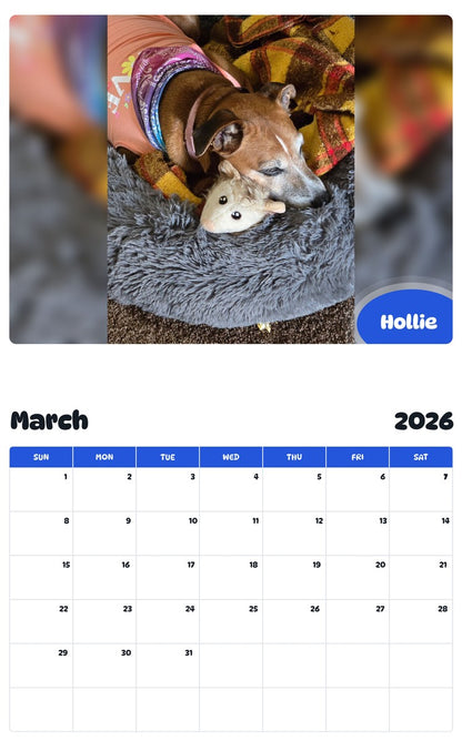 November 2025 - October 2026 Hollie - Pawidols Pet Calendar