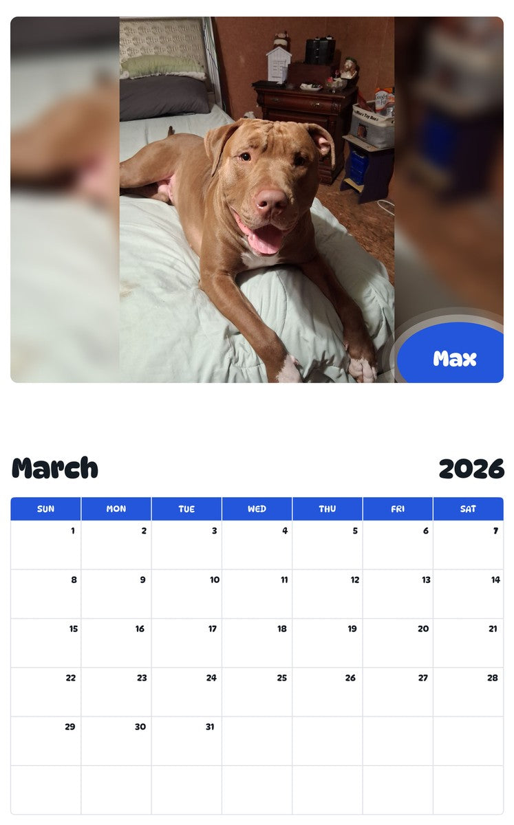 November 2025 - October 2026 Max - Pawidols Pet Calendar