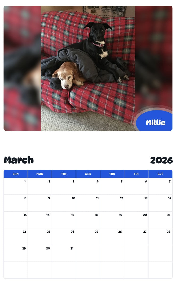 November 2025 - October 2026 Millie - Pawidols Pet Calendar