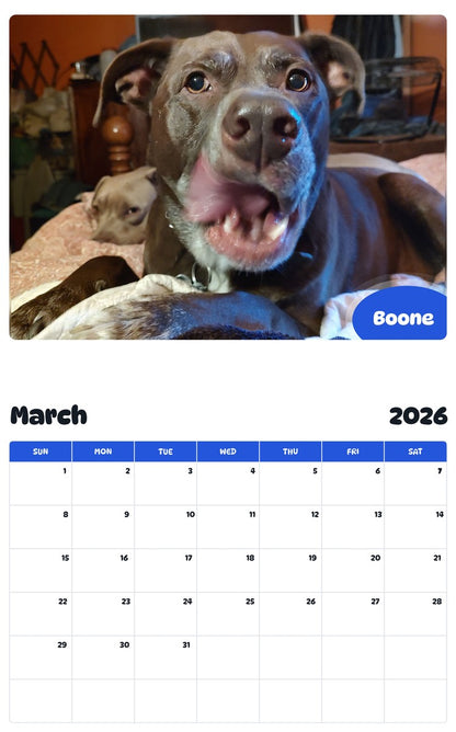 November 2025 - October 2026 Boone - Pawidols Pet Calendar