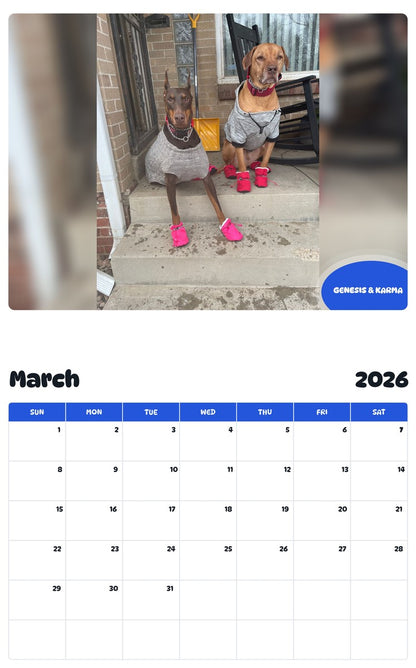 November 2025 - October 2026 GENESIS & KARMA - Pawidols Pet Calendar
