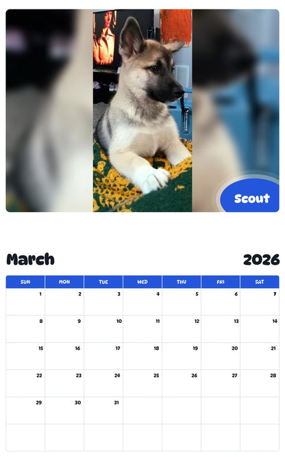 November 2025 - October 2026 Scout - Pawidols Pet Calendar