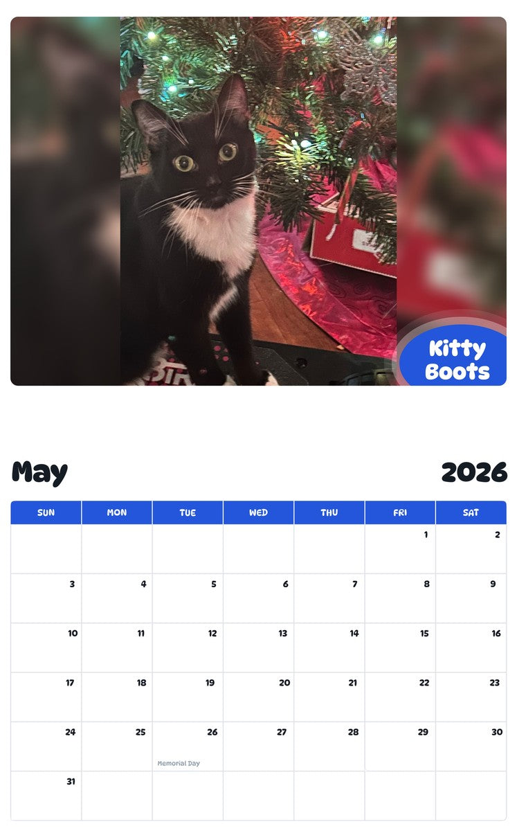 2026 - 2027 Kitty Boots - Pawidols Pet Calendar