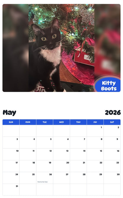 2026 - 2027 Kitty Boots - Pawidols Pet Calendar