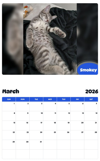 November 2025 - October 2026 Smokey - Pawidols Pet Calendar