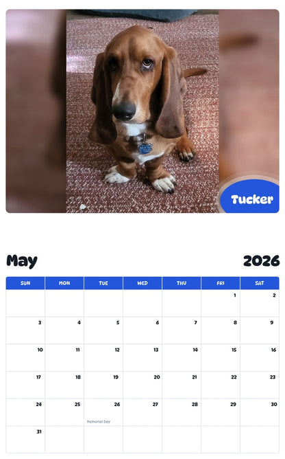 2026 - 2027 Tucker - Pawidols Pet Calendar