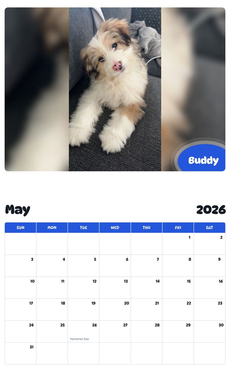 2026 - 2027 Buddy - Pawidols Pet Calendar