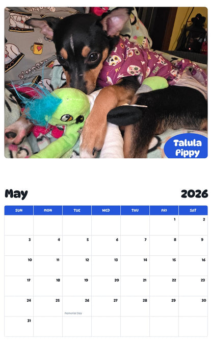 2026 - 2027 Talula Pippy - Pawidols Pet Calendar