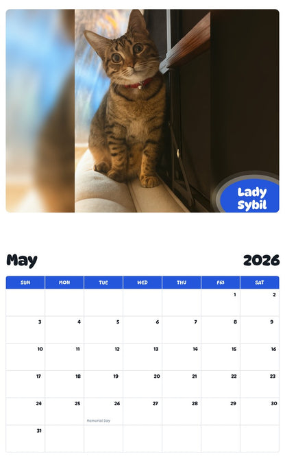 2026 - 2027 Lady Sybil - Pawidols Pet Calendar