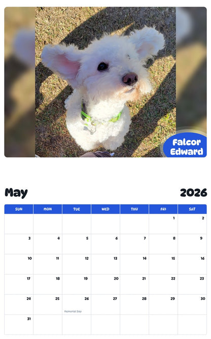 2026 - 2027 Falcor Edward - Pawidols Pet Calendar