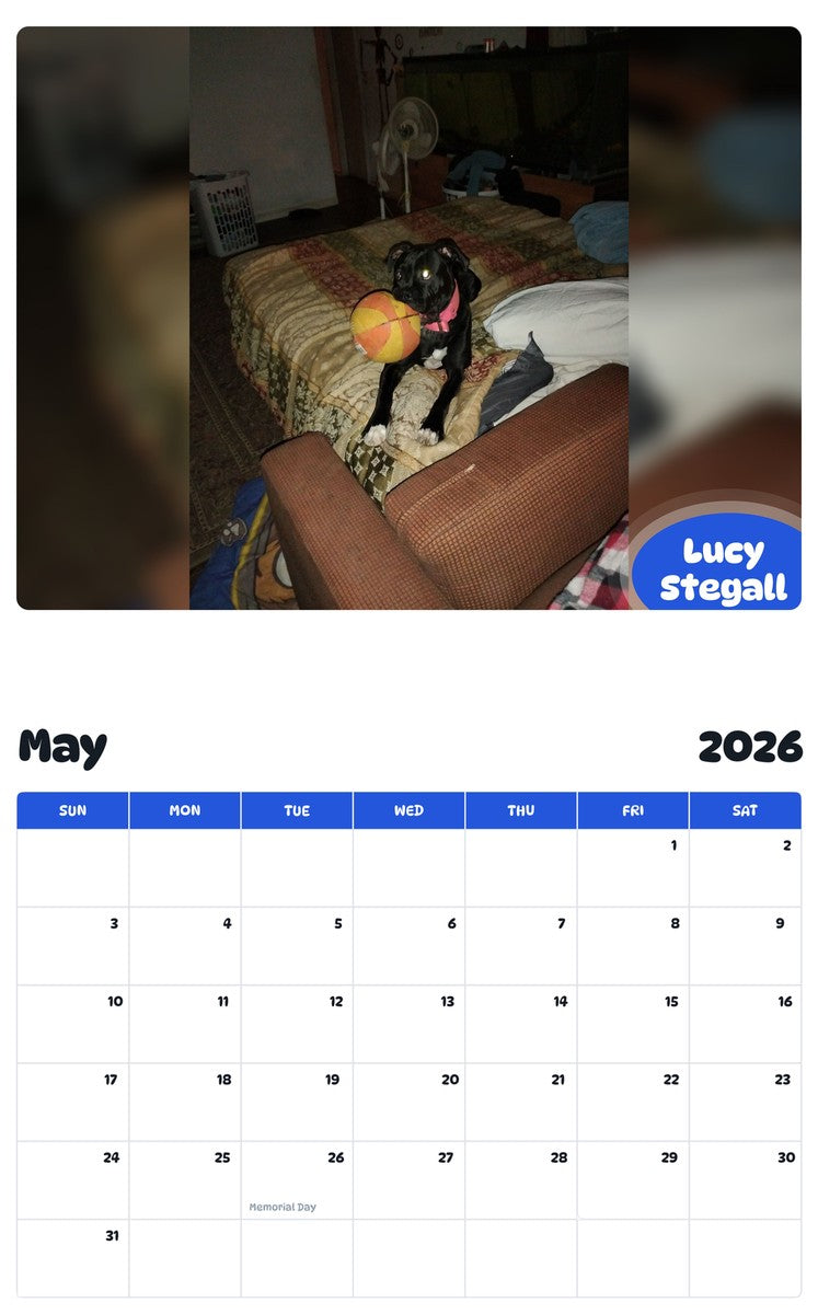 2026 - 2027 Lucy Stegall - Pawidols Pet Calendar