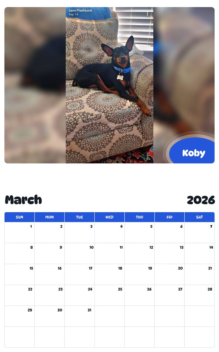 November 2025 - October 2026 Koby - Pawidols Pet Calendar