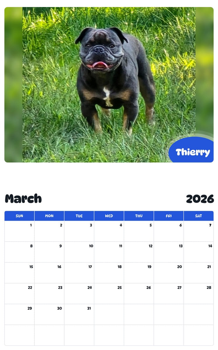 November 2025 - October 2026 Thierry - Pawidols Pet Calendar