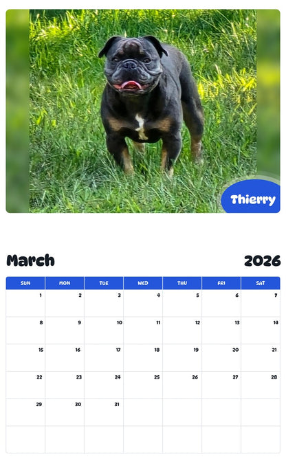 November 2025 - October 2026 Thierry - Pawidols Pet Calendar