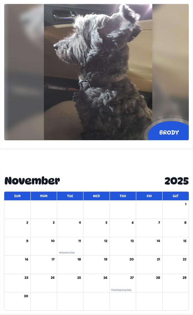 July 2025 - June 2026 Brody - Pawidols Pet Calendar