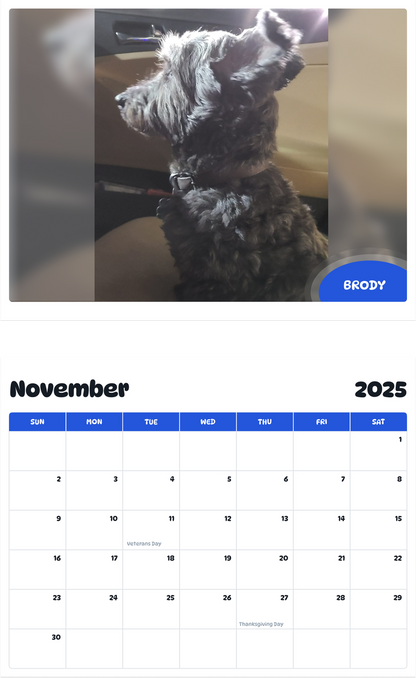 July 2025 - June 2026 Brody - Pawidols Pet Calendar