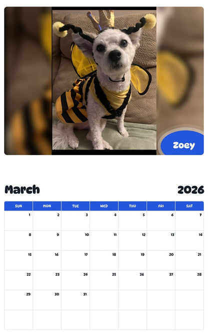 November 2025 - October 2026 Zoey - Pawidols Pet Calendar
