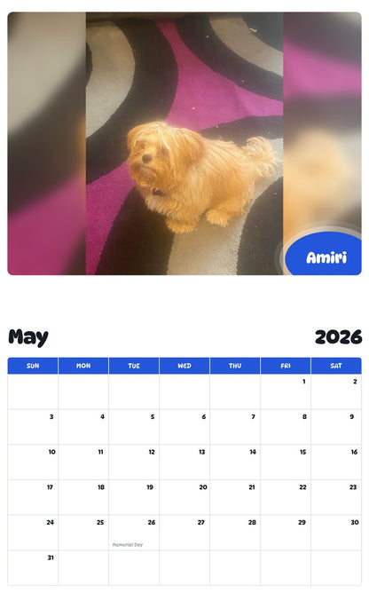2026 - 2027 Amiri - Pawidols Pet Calendar