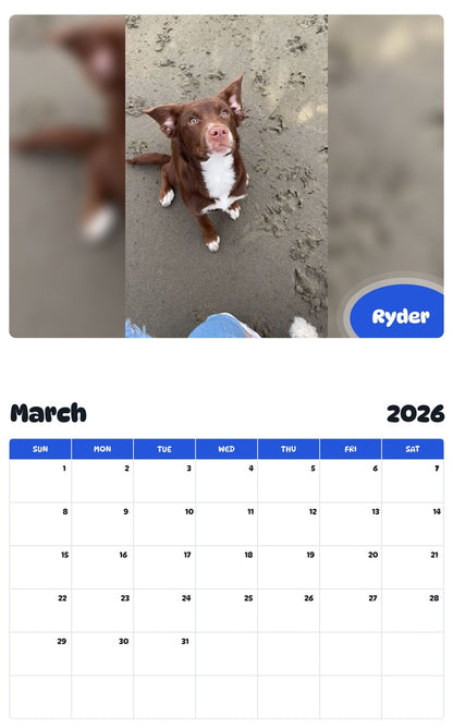 November 2025 - October 2026 Ryder - Pawidols Pet Calendar