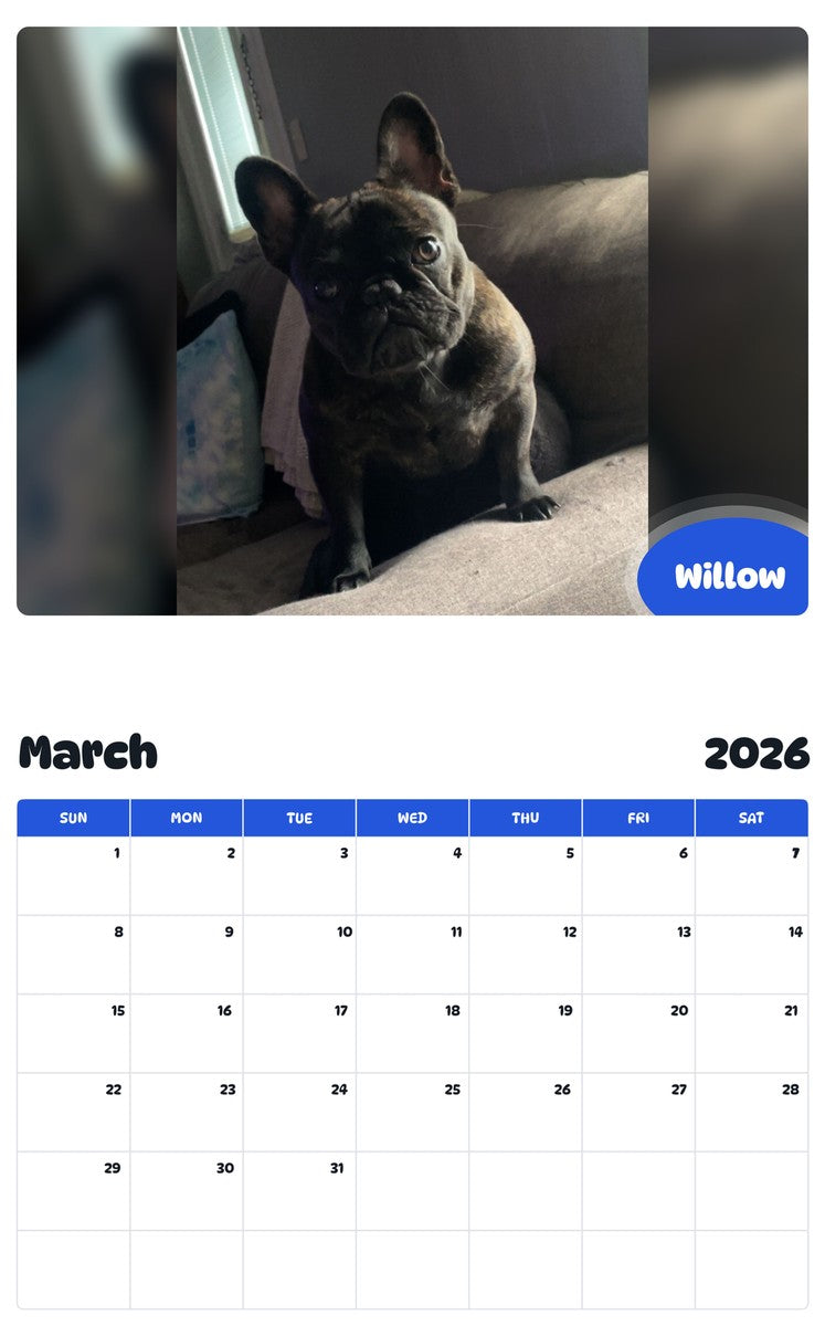 November 2025 - October 2026 Willow - Pawidols Pet Calendar