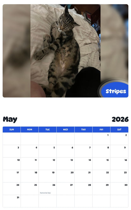 2026 - 2027 Stripes - Pawidols Pet Calendar