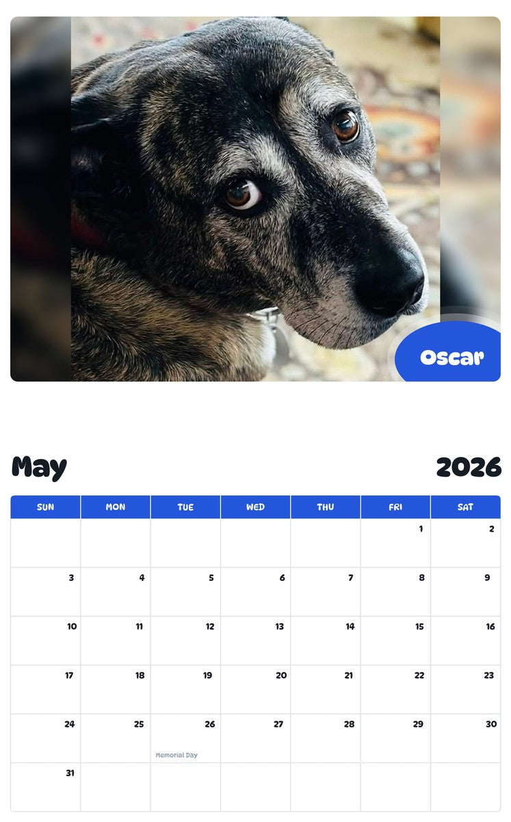 2026 - 2027 Oscar - Pawidols Pet Calendar