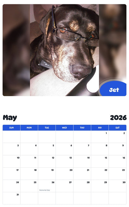 2026 - 2027 Jet - Pawidols Pet Calendar