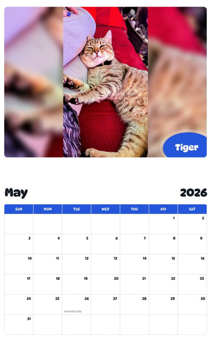 2026 - 2027 Tiger - Pawidols Pet Calendar